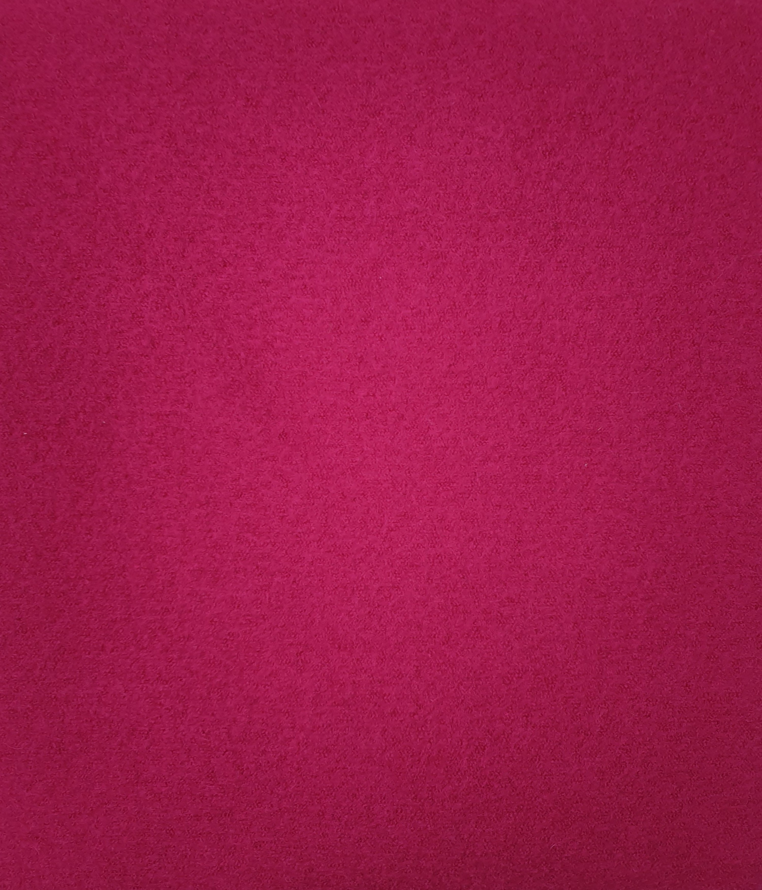 Wollwalk  Rhododendron